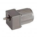 AC Gear 230V Motor for SSJ Juicer