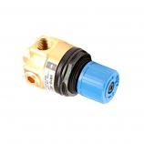 PRESSURE REGULATOR,0-100 PSI